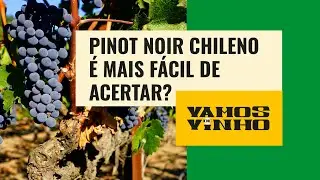 Quer tomar um vinho pinot noir sem gastar muito? Chile é boa opção