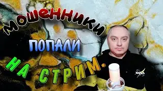 мошенники попали на стрим.