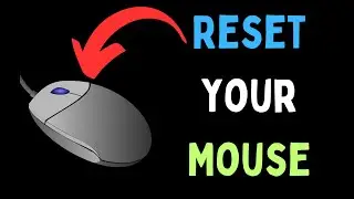 How to Reset your Mouse on Windows 11  ENGLISH