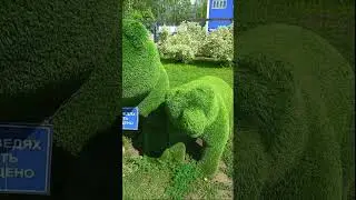 Чрезмерная плюшевость =)