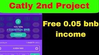 Catly 2nd Project 0.05 Bnb Free Income.