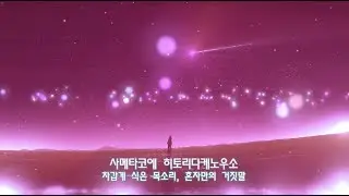 하나땅 - 얼어붙는 꽃  「花たん - 凍る花」