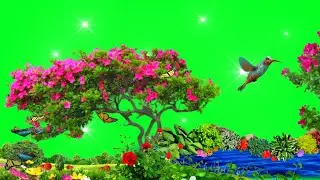green screen effects love green screen effects green screen video green screen status green screen