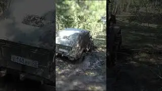 Козлик снова на высоте #Shorts