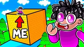 Building the LARGEST CUBE in Roblox Build a Boat
