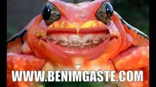 Benimgaste.com , Üye ol gülüşelim!