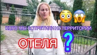 ПРОГУЛКА ПО ЧЕРНОВЦАМ,ПОКАЗЫВАЕМ ТЕРРИТОРИЮ ОТЕЛЯ И УЕЗЖАЕМ В ХАРЬКОВ