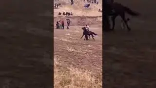 Бузкаши ш Вахдат д кул Асп бономи шамшерт