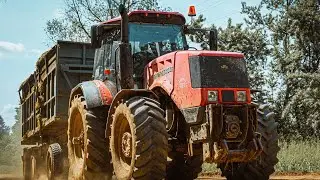 EMERGENCY FARM RESCUE! #farmlife #growingvegetables #farming #farm
