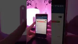 Xiaomi Mijia Bedside Lamp 2 MJCTD02YL, управление из Home Assistant