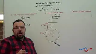 Öğretim Yöntem ve Teknikleri - Kavramsal Değişim Metinleri - Anlam Gözlemleme Tablosu Nedir ?