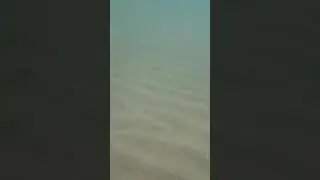 Nel mare video bonus