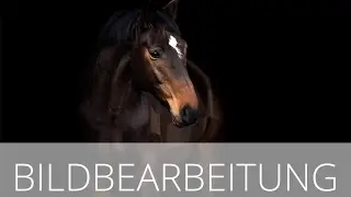 Bildbearbeitung - Schwarzer Hintergrund - Henry