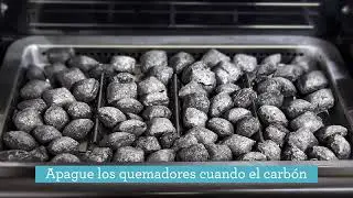 ASADOR HIBRIDO GAS - CARBON CHARBROIL