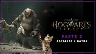Hogwarts Legacy - Parte 3 | Gatitos en Castillo, Gatitos en la Calle, Gatitos en Batalla