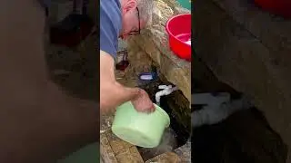 СОМ И САЗАН! Друзья в шоке
