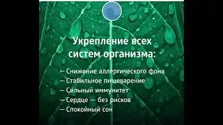 Истоки чистоты-  Очищение организма на клеточном уровне
