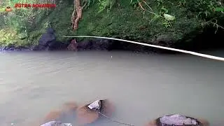 STREK IKAN LANGKA - HIBURAN SECUIL MANCING DI KALI