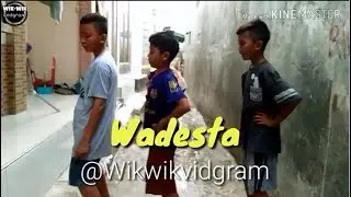 WADESTA *67-1000* Subcriber