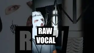 Rap Vocal Preset FL STUDIO 