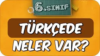 6. Sınıf Türkçede Neler Var? Türkçe Dersine Nasıl Çalışır❓