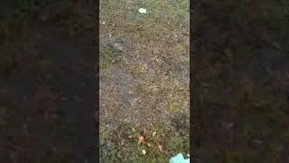 как выглядит состояние говно из жопы