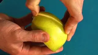 Праздничный стол_лебедь