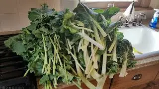 Hydroponic Gardening with OSU Master Gardeners
