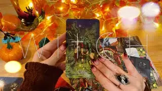 ASMR Fortune Telling 🍁Does He Want to Come Back?