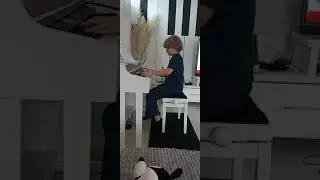 coffin dance meme