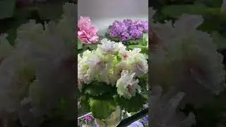 Где меня найти, если отключат Ютуб?