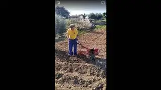 MEJORES MOMENTOS CORONAVIRUS ESPAÑA