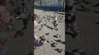 #Моймирмоивнуки💝💝💝💝💝