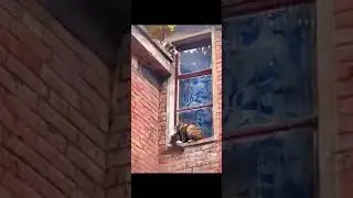 ini naluri seorang ibu