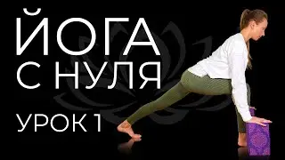 Yoga for beginners | Lesson 1