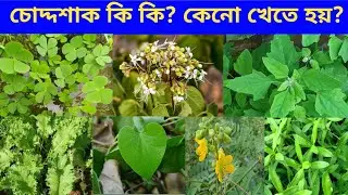 ভূত চতুর্দশীর ১৪ শাক কি কি? কি কি তাদের গুনাগুন? Bhut Chaturdashi | choddo shak | পৌরাণিক মাহাত্ম্য