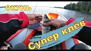Ловля окуня на микроджиг. Клёв на каждом забросе. Поклёвки в прямом эфире
