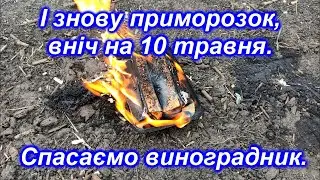 І знову приморозок вніч на 10 травня 2024. Спасаємо виноградник.