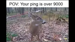 When your ping is over 9000
