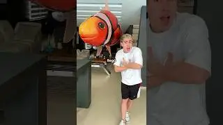 EL PEZ FLOTADOR