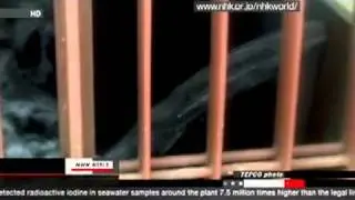 TEPCO Fukushima Daiichi - 7.5 million times legal limit of iodine in sea