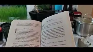 Рецепт каши Дубинушка от Надежды Семёновой с канала Галкин Сад ❤️☀️