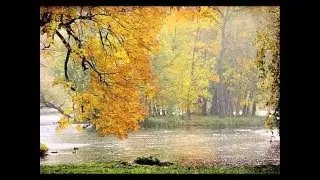 Дождик осенний