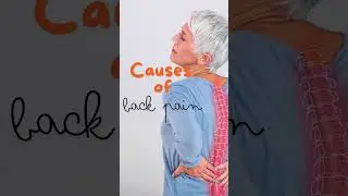 Causes of back pain #backpain #osteoporosis #herniateddisc #inflammation #discdegeneration #viral