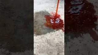 Cleaning out my fridge… on my rug?!😖🤯 #satisfyingvideo #cleaning #oddlysatisfying