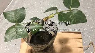 26 июня 2023 г.