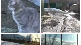 Дача Конец  Марта. Вечная беда СНТ -дороги.  На участке вода , но снег уходит быстро.