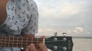 White Sandy Beach of Hawaii (ukulele instrumental) played on a white sandy beach not of Hawaii : (