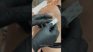 ASMR видео тату на плече для девушки - бабочка. Красивая татуировка от мастера Kot Tattoo Studio