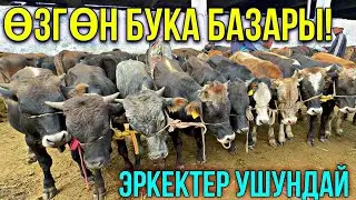 БУКАЛАР ЭРКЕК ТОРПОК БААЛАРЫ 💥#байтв